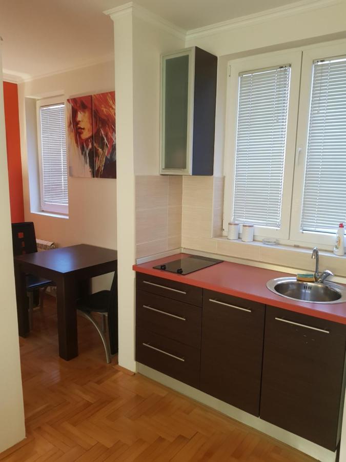 Rajiceva 5- Apartman Sa Prostranom Terasom I Garaznim Mestom Kragujevac Eksteriør billede