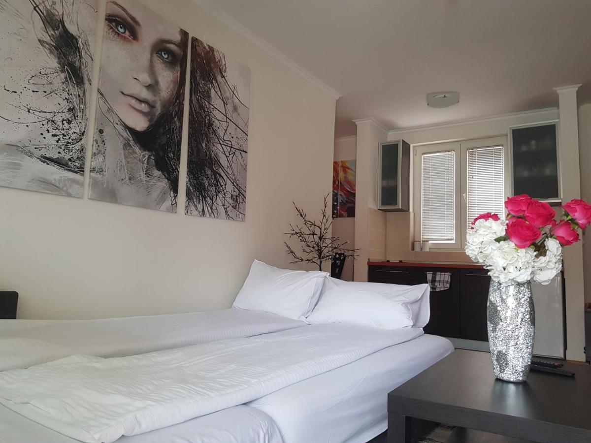 Rajiceva 5- Apartman Sa Prostranom Terasom I Garaznim Mestom Kragujevac Eksteriør billede